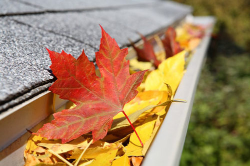 fall-leaves.jpg