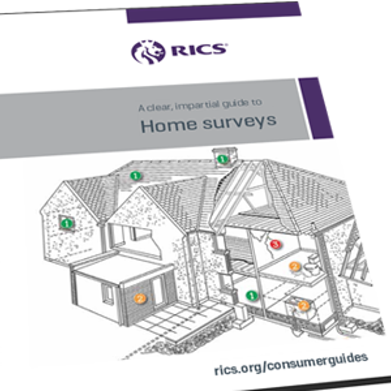 RICS Survey